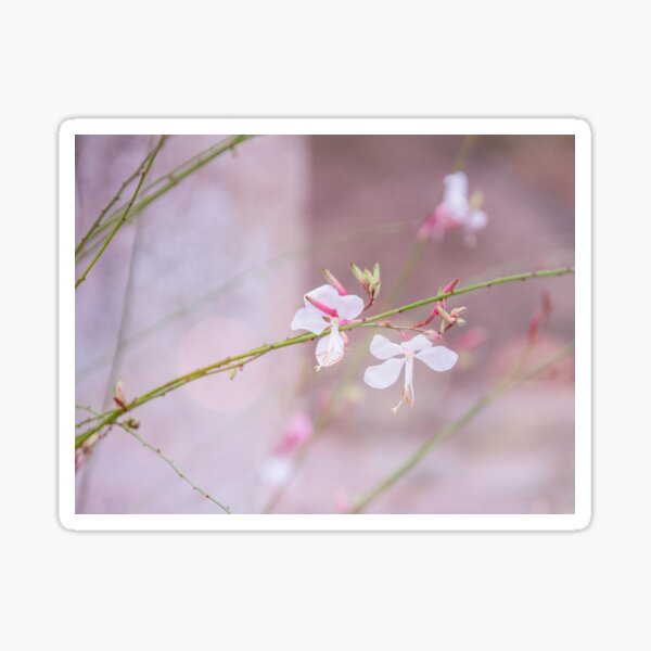 Love was when I loved you Sticker