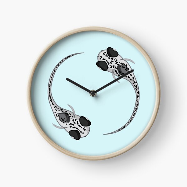 Zebrafish larvae couple Clock