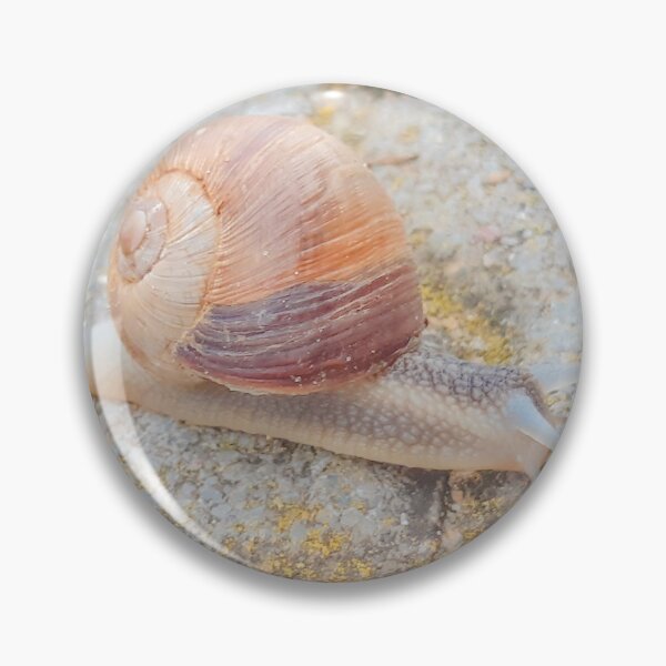 Item preview, Snail with a big house designed and sold by CSouissi.