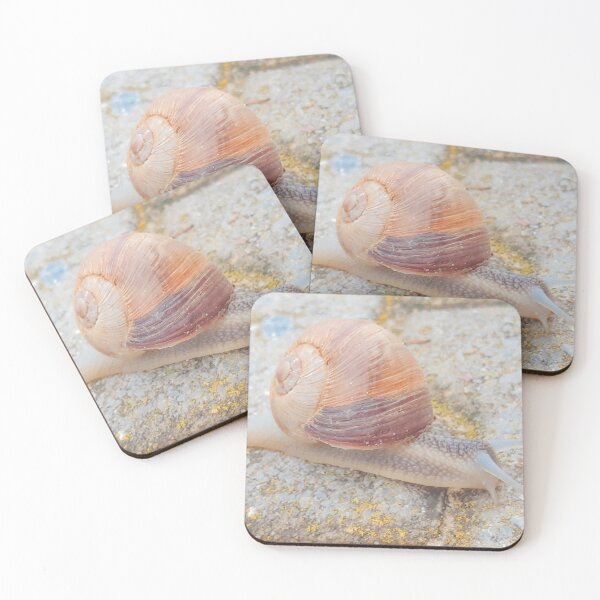 Item preview, Snail with a big house designed and sold by CSouissi.