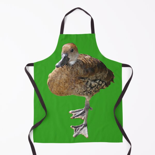 Watch Out Duck! Apron
