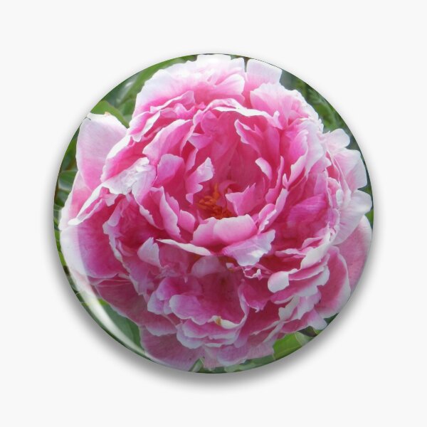 Item preview, pink peony designed and sold by Kriti68.