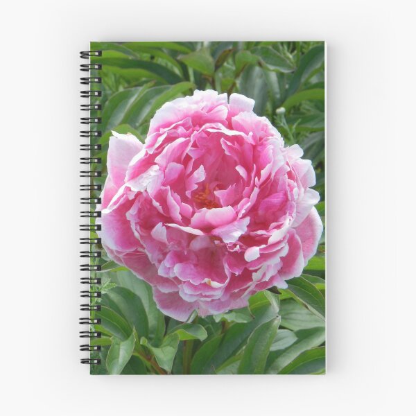 Item preview, pink peony designed and sold by Kriti68.