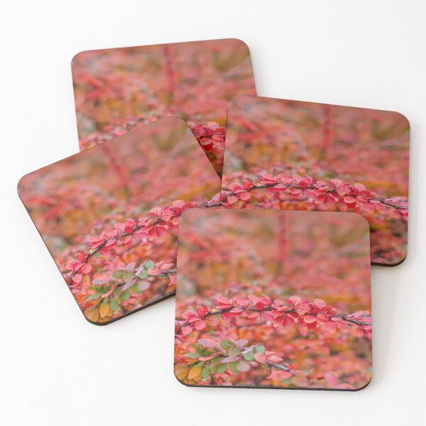 Item preview, Autumn background of barberry bush leaves designed and sold by lena-maximova.