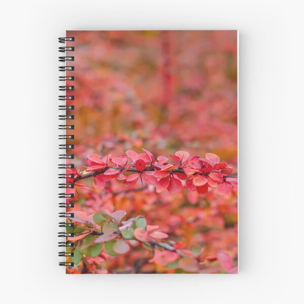 Item preview, Autumn background of barberry bush leaves designed and sold by lena-maximova.