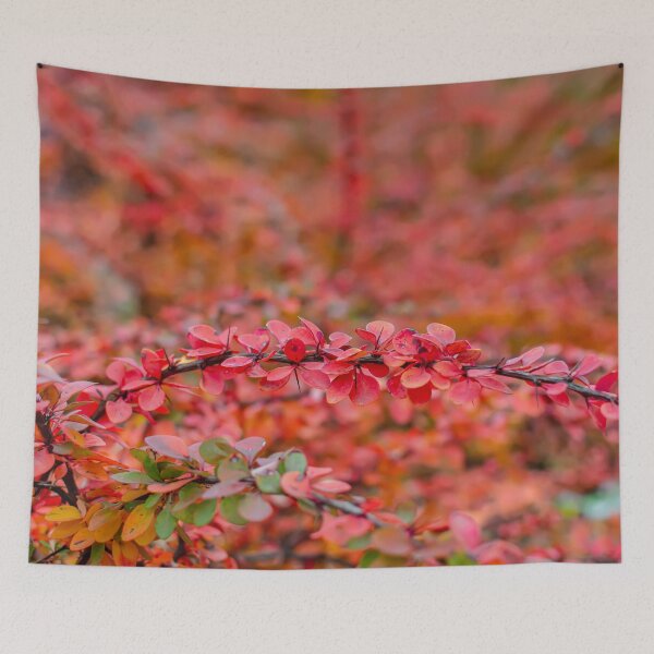 Item preview, Autumn background of barberry bush leaves designed and sold by lena-maximova.