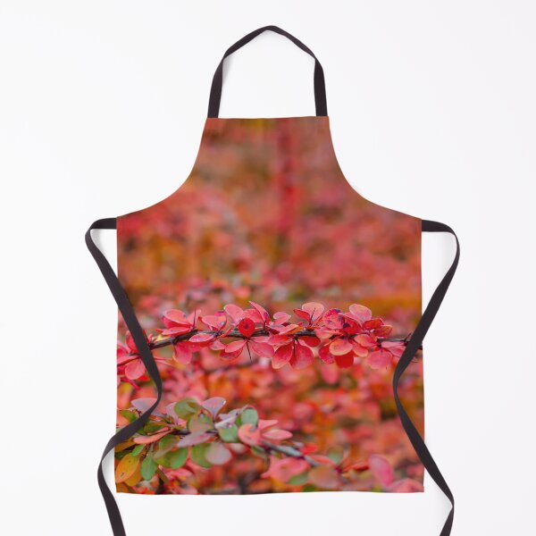 Item preview, Autumn background of barberry bush leaves designed and sold by lena-maximova.