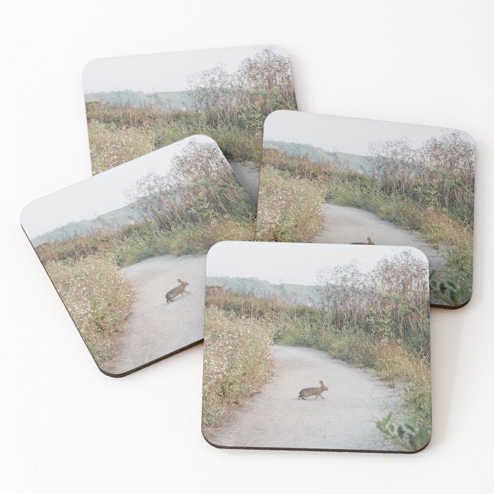 Item preview, Coasters (Set of 4) designed and sold by Jenna-Zee.