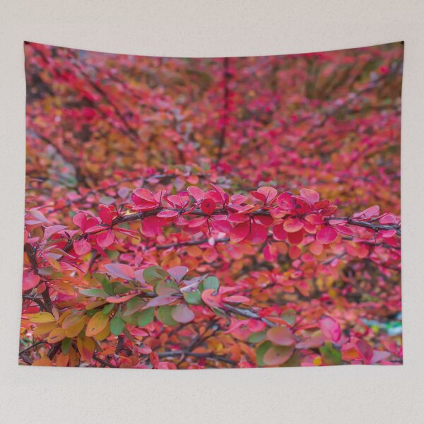 Item preview, Red green barberry leaves in autumn designed and sold by lena-maximova.