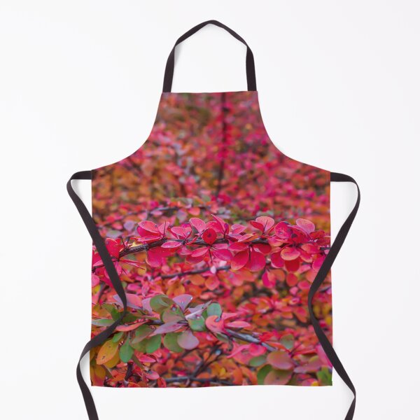 Item preview, Red green barberry leaves in autumn designed and sold by lena-maximova.
