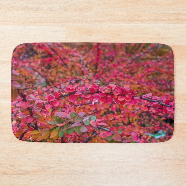 Item preview, Red green barberry leaves in autumn designed and sold by lena-maximova.