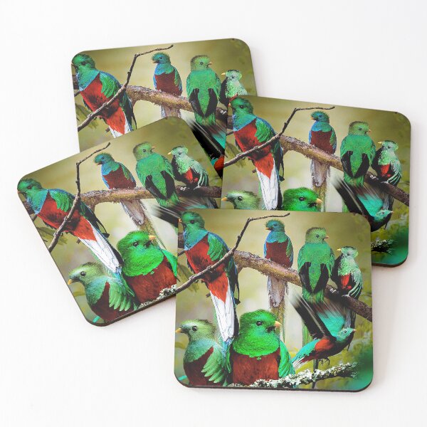 Item preview, Quetzal designed and sold by MaxencePierrard.