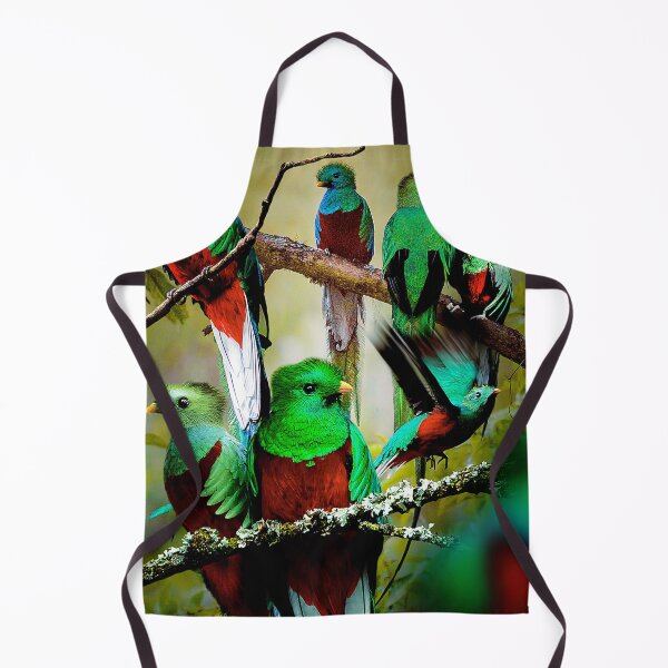 Item preview, Quetzal designed and sold by MaxencePierrard.