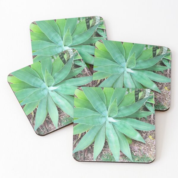 Item preview, Bromeliad designed and sold by praupp.