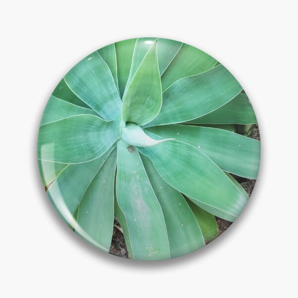 Item preview, Bromeliad designed and sold by praupp.