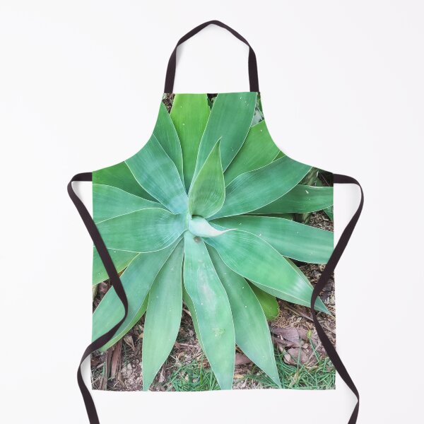 Item preview, Bromeliad designed and sold by praupp.