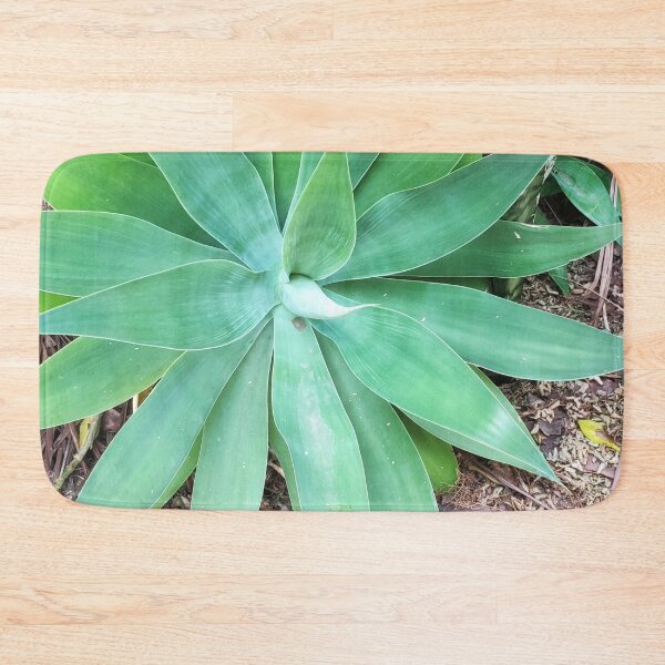 Item preview, Bromeliad designed and sold by praupp.