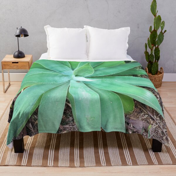 Item preview, Bromeliad designed and sold by praupp.