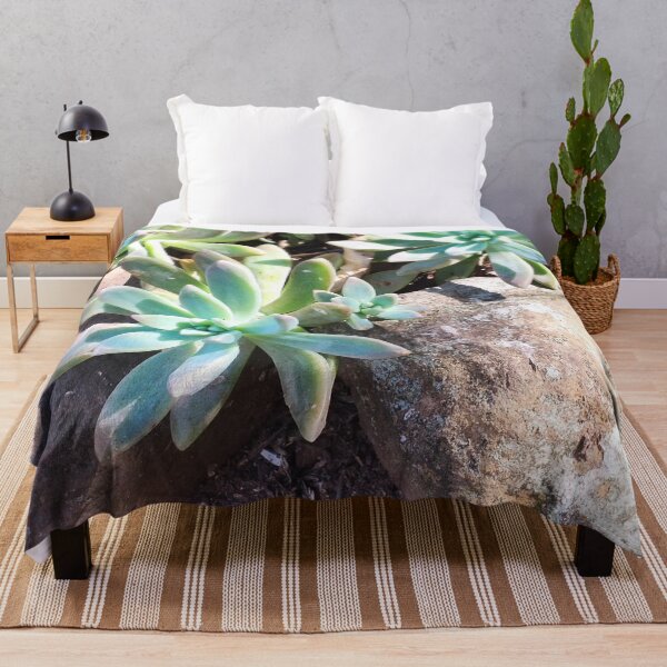 Item preview, Succulents designed and sold by praupp.