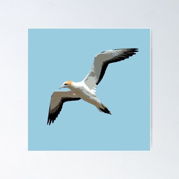 Item preview, Northern Gannet Flying Color Print designed and sold by designsasstultd.