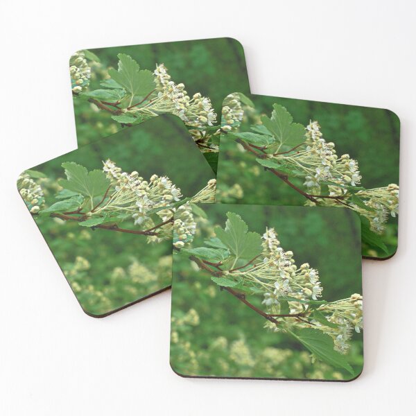 Item preview, White wild flowers on a branch with green leaves designed and sold by Ventures1.