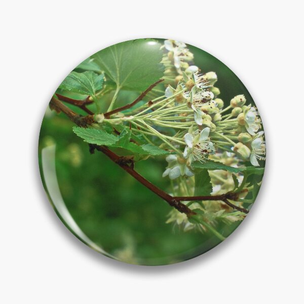 Item preview, White wild flowers on a branch with green leaves designed and sold by Ventures1.
