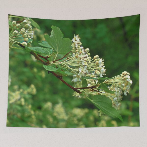 Item preview, White wild flowers on a branch with green leaves designed and sold by Ventures1.