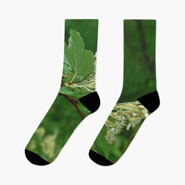 Item preview, White wild flowers on a branch with green leaves designed and sold by Ventures1.