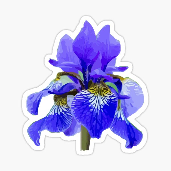 Sticker iris violet - Sticker A moi Etiquette & Autocollant