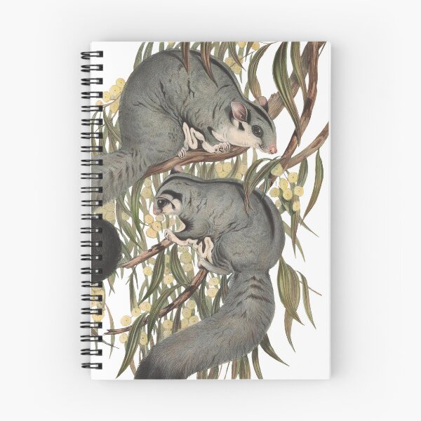 Item preview, Sugar gliders - Belideus sciureus  designed and sold by billythekidtees.