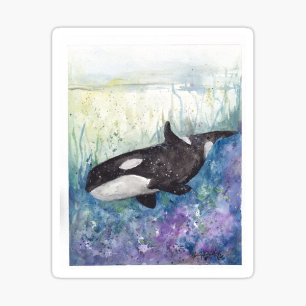 Orca Sticker