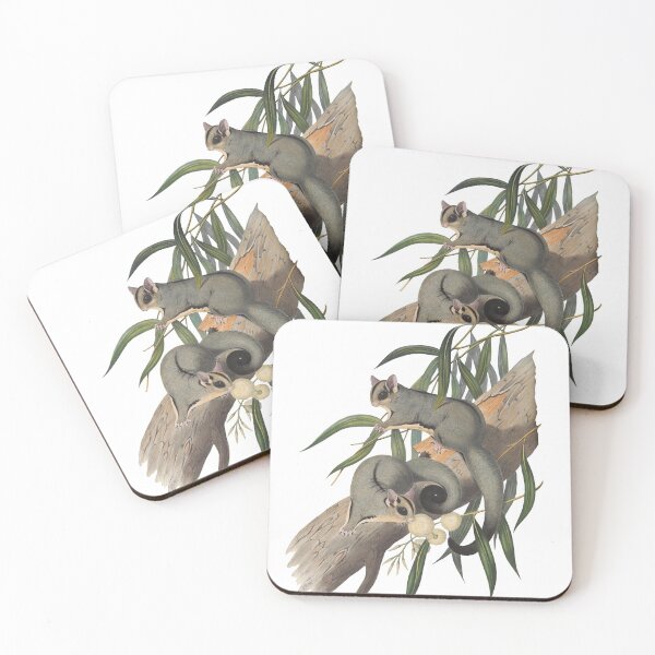 Item preview, Sugar gliders - Petaurus breviceps designed and sold by billythekidtees.