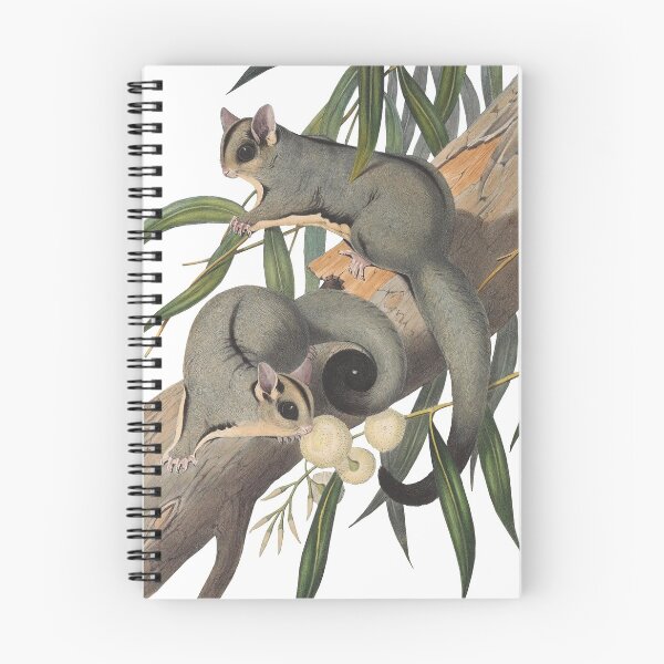 Item preview, Sugar gliders - Petaurus breviceps designed and sold by billythekidtees.