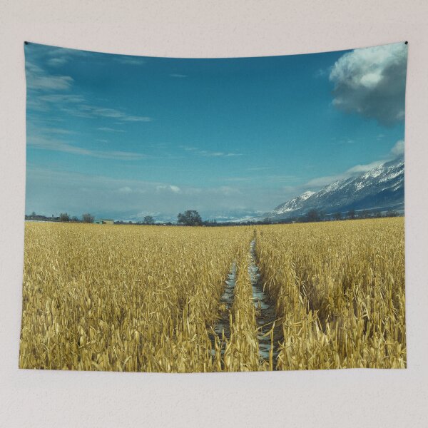 Aperçu de l'œuvre Terres agricoles avec montagnes, ciel bleu, champ de blé, nuages et neige créée et vendue par Ventures1.