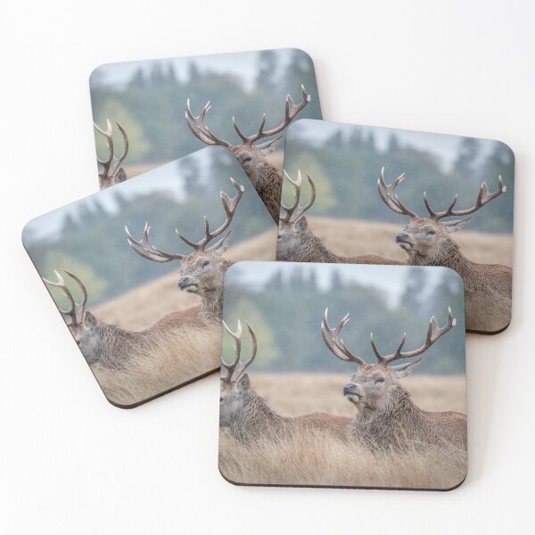 Item preview, Red deer (Cervus elaphus) designed and sold by Steve Liptrot Photography.