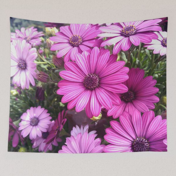Item preview, African Daisy designed and sold by ZenCloak.