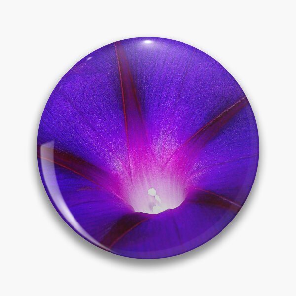 Item preview, Glowing violet morning glory designed and sold by rvjames.