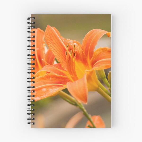 Item preview, Orange Lilies designed and sold by Artsomesauce.