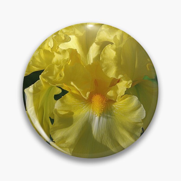 Item preview, Golden Iris flower designed and sold by rvjames.