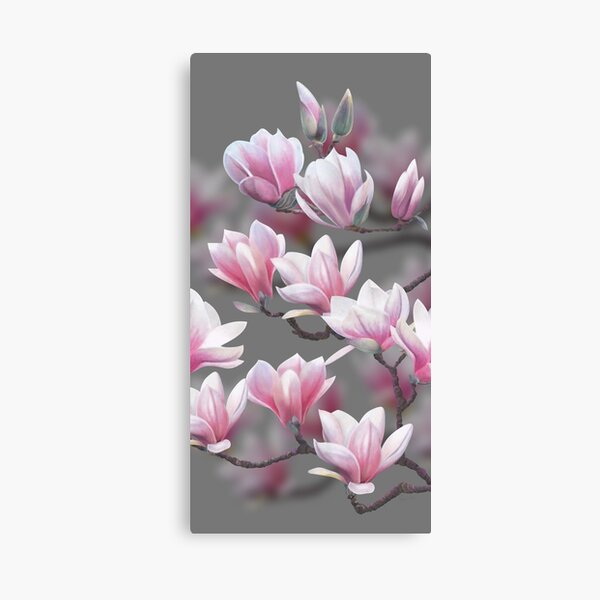 Pink Magnolia Blossom Canvas Print