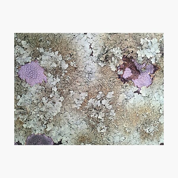 Item preview, Wild Lichen designed and sold by MisterGroom.