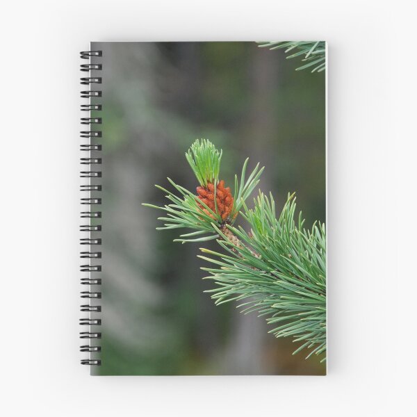 Item preview, Lone pine designed and sold by fishinmusician.