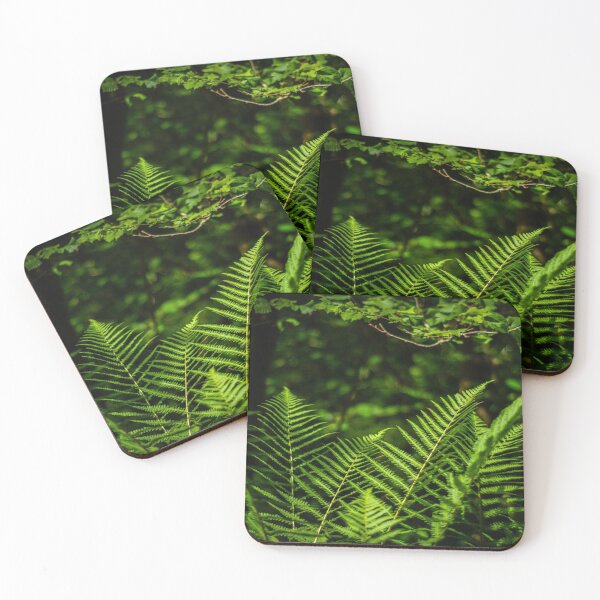 Item preview, Sunlit Ferns designed and sold by Steve Purnell Photography.