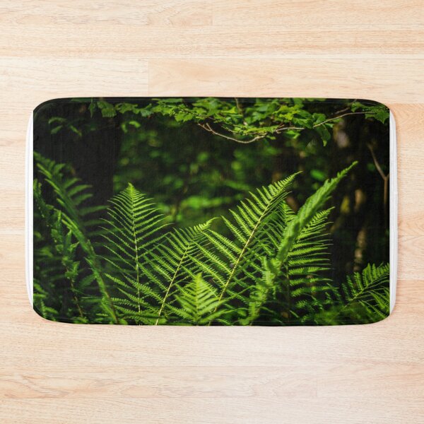 Item preview, Sunlit Ferns designed and sold by Steve Purnell Photography.