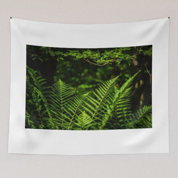 Item preview, Sunlit Ferns designed and sold by Steve Purnell Photography.