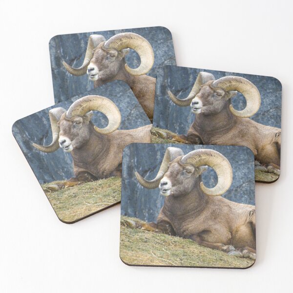 Item preview, Big Horn Sheep Ram Resting designed and sold by JennWanderer.