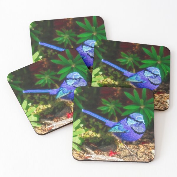 Item preview, Blue Wren, Bushy Lakes, Margaret River, Perth designed and sold by Dave Catley.