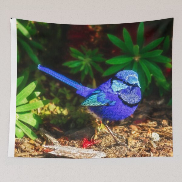 Item preview, Blue Wren, Bushy Lakes, Margaret River, Perth designed and sold by Dave Catley.