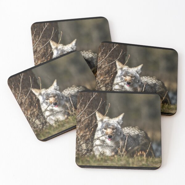 Item preview, We eat, therefore we hunt.  designed and sold by Alex Preiss.