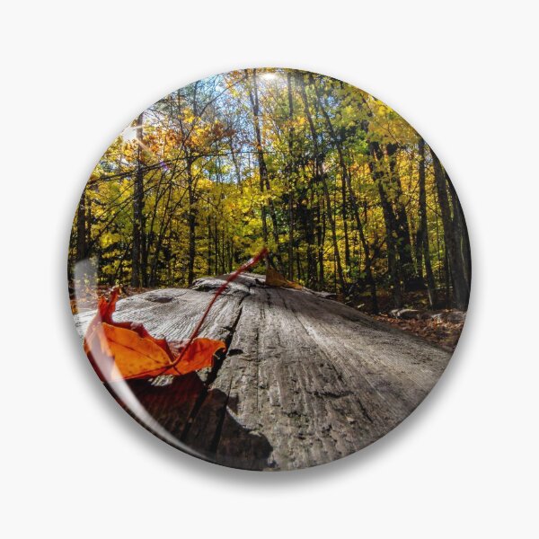 Item preview, Log in the Forest designed and sold by Imalairdphotos.